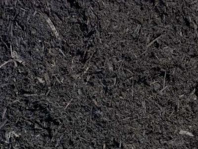 Dark Mulch